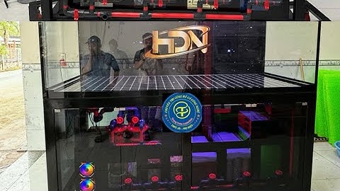 Nên chọn mua Hồ Cá Công Nghệ Hay Hồ Lọc Dưới Phao cơ ? CHI TIẾT VỀ HỒ CÔNG NGHỆ VÀ HỒ PHAO CƠ 