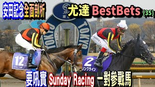 尤達Best Bets(35) - 安田記念全面剖析，要吼實Sunday Racing一對參戰馬，請訂閱@yautatchannel，Like及分享本片，多謝支持！