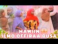 Saidoon Nahiikufii Ilmoo Offiraa Busaa Jette Hawiin Murttesitee