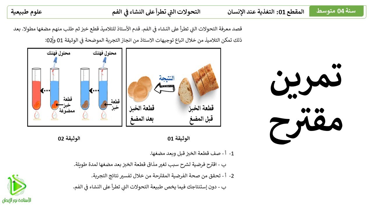 تمرين الإستدلال العلمي حول التحولات التي تطرأ على النشاء في الفم - إختبار فرضية والتحقق منها 04متوسط