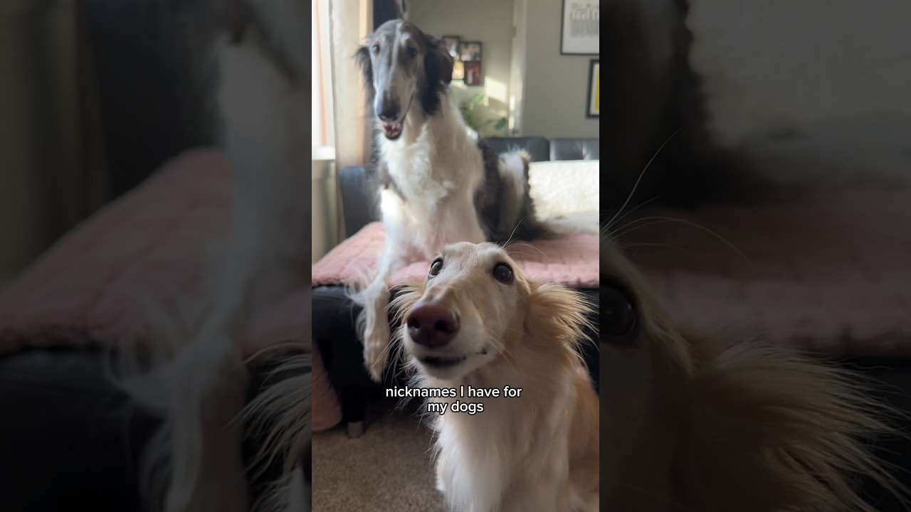 Прозвища — мой язык любви 