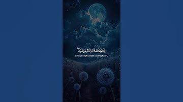 اكتب شيء تؤجر عليه 😴💚 قران كريم | ياسر الدوسري