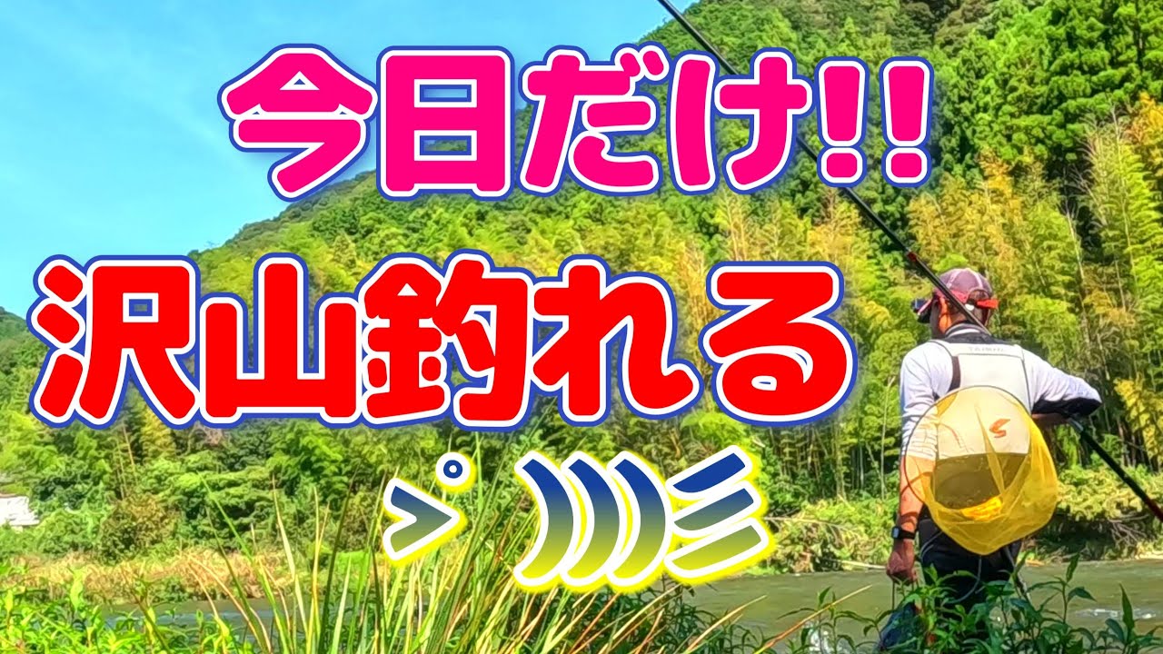 【鮎釣り】おっちゃんでもタマにはそこそこ釣れる。