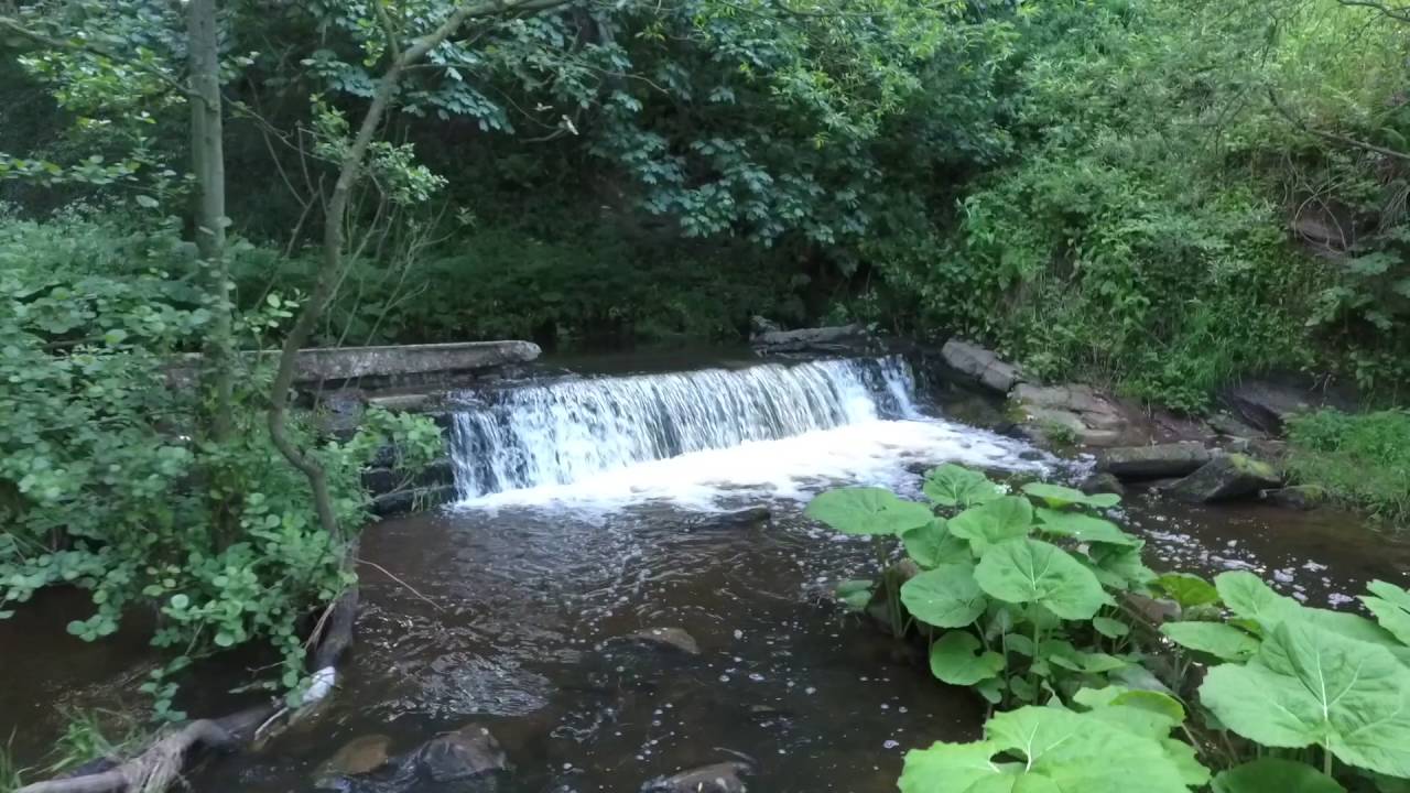 Craigmill Den (Carnoustie, Angus) DHI Phantom 4 Drone Flight YouTube