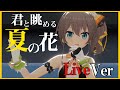 君と眺める夏の花LIVEver【夏色まつり】