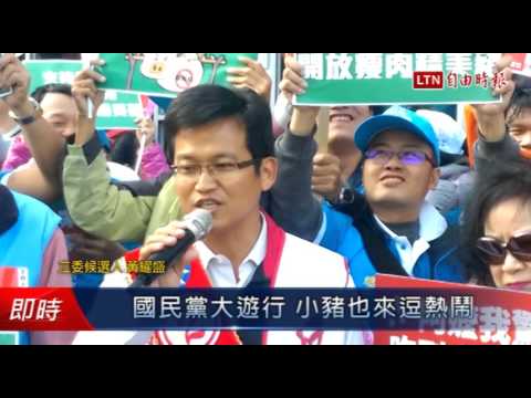 國民黨「為台灣安定而走」 大遊行 小豬也來逗熱鬧 - 國民黨「為台灣安定而走」 大遊行 小豬也來逗熱鬧