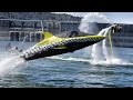 Robotic Dolphin and Flying Water Car - In 4K! With Jetovator and Seabreacher