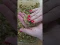 Не готовь рыбные котлеты пока не увидишь это