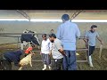 We turned the dairy farm upside down! Selling kids, inseminating cows, and preparing for calving