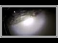 Police Officer Crawls Across Ice To Rescue Dog In Icy Canal | Body Cam | United States | 20190225