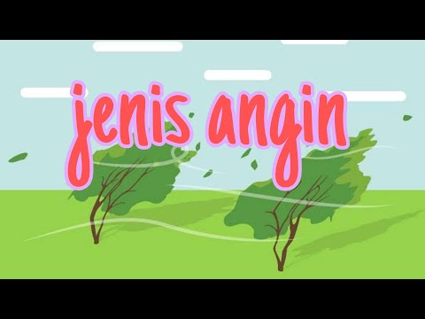 Video: Jenis angin: corak umum