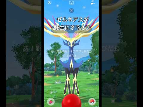 【ポケモンGO】ゼルネアスが野生に？？！！！#ポケモンgo #ポケモン #ゼルネアス