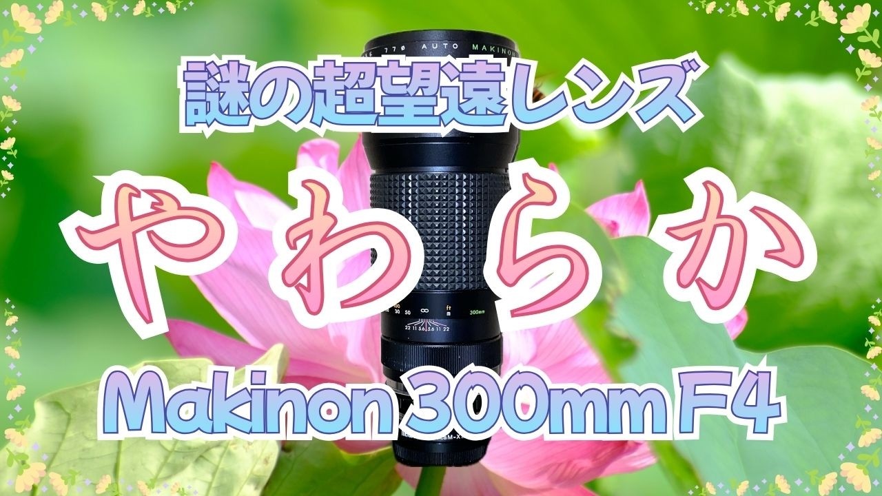 Large Aperture] How does this mysterious 300mm F4 lens perform
