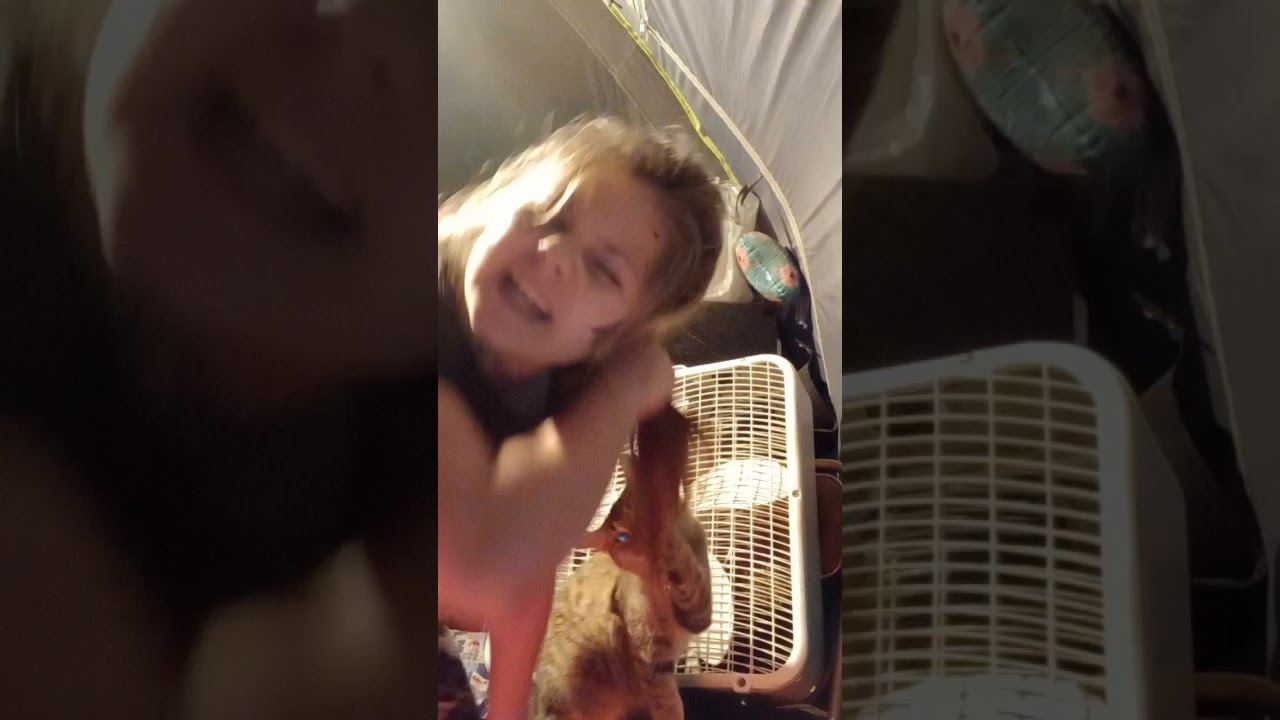 owl my cat pulls my hair😂🤣