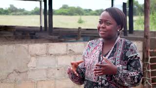 How to run a successful Piggery Farm in Botswana ( Episode 2)