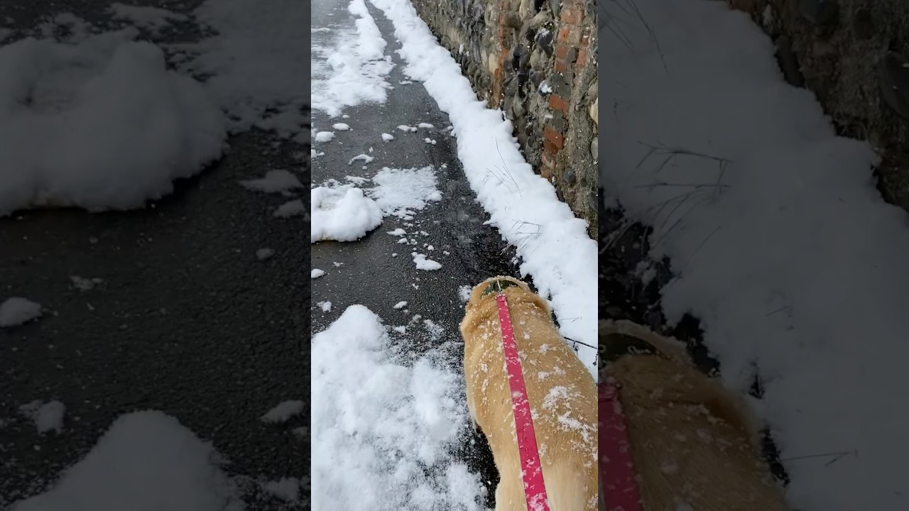 Same Walk, Different Season 