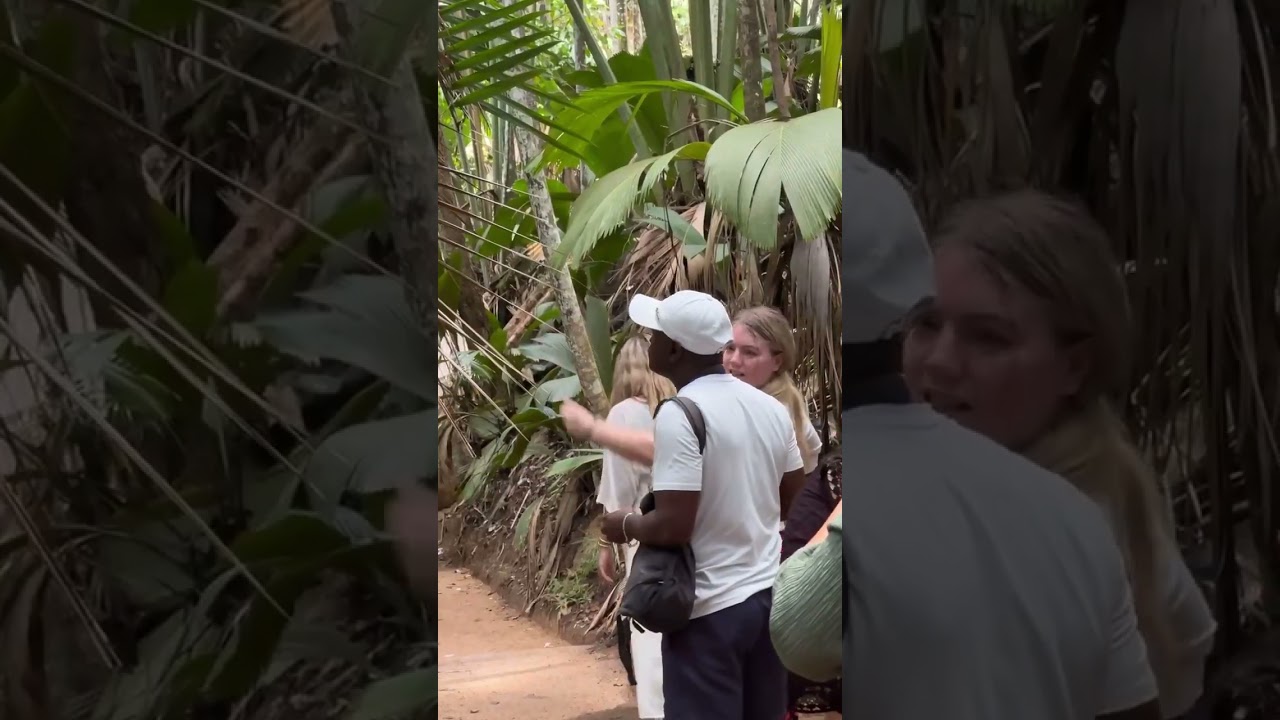 The Seychelles Retreats | Business Retreat