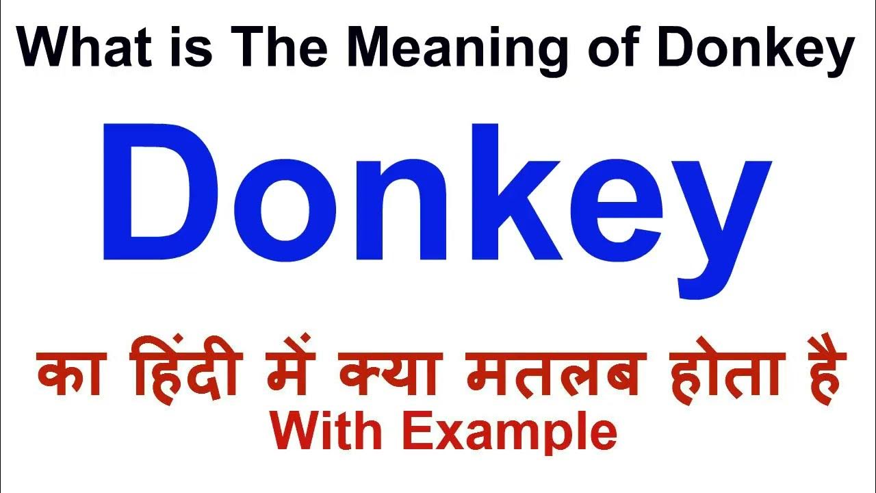 Donkey Meaning In Hindi Donkey Definition Donkey Ka Matlab Kya Hota donkey-meaning-in-hindi-donkey-definition-donkey-ka-matlab-kya-hota