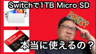 【Switchが容量不足！？】1TB Micro SDを試したけど、、、