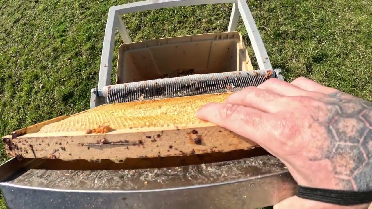 Bez TOHTO by žiadny med netiekol