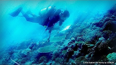 Marine Science - Behind the News
