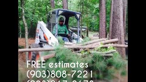 Express Lawn & Tree Service (903)808-7221