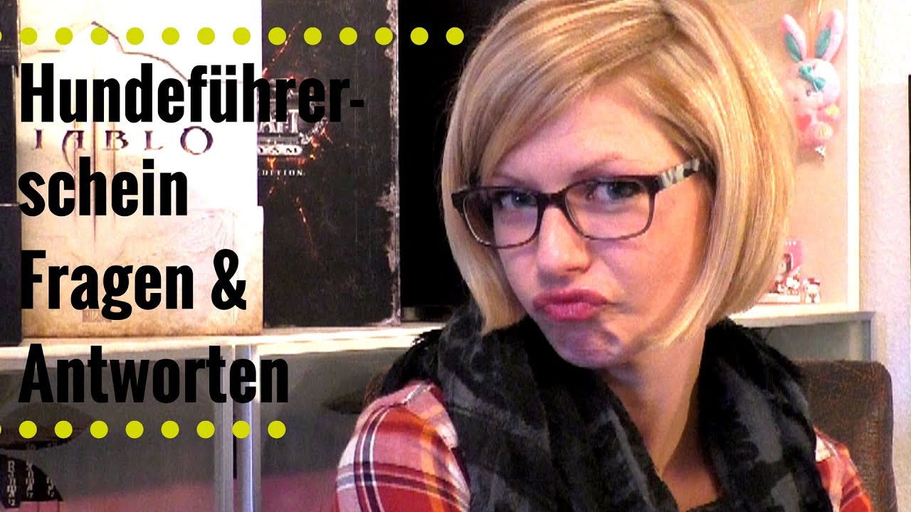 Hundeführerschein Theorie 10 Fragen und Antworten - YouTube