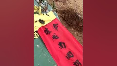 Tạ tài phán 116(4)