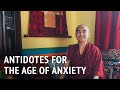 Mingyur Rinpoche – Antidotes for the Age of Anxiety