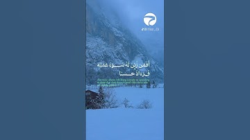 سورة فاطر - علاء المزجاجي 💛