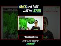 Pteridophyta || Classification of Plants || SSC || Maharashtra Board || Biology