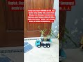 SUDAH KREATIF DAN BAHAGIA HARI INI?! #lenteradoa #automobile #trending #motivasikerja #viral #funny