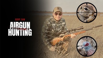 Airgun (PCP) farm pest control with the Diana Stormrider .22