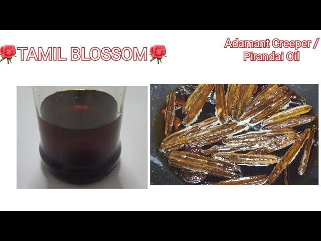 Pirandai Oil with English Subtitles / Adamant Creeper Oil / Pain Relief Oil