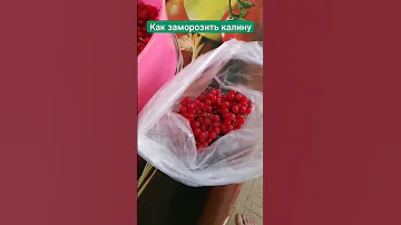 Как заморозить калину на зиму. #олегбуянов #буяновсыроед #калина #ягоды