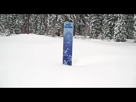 Mt Bachelor - Snow Stake