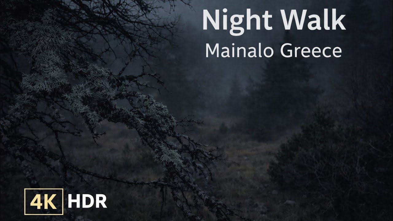 Slow Foggy Night Walk in Mainalo Mountains, Greece | Winter Mist | 4K Ultra HDR | No Music | Sleep 