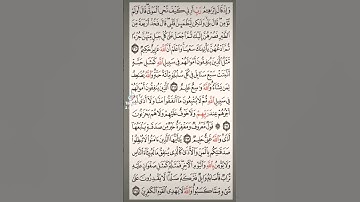 سوره البقره صفحه في اليوم تسعد يومك بإذن الله تعالى #الابذكرالله_تطمئن_القلوب#قرآن #qorankarim