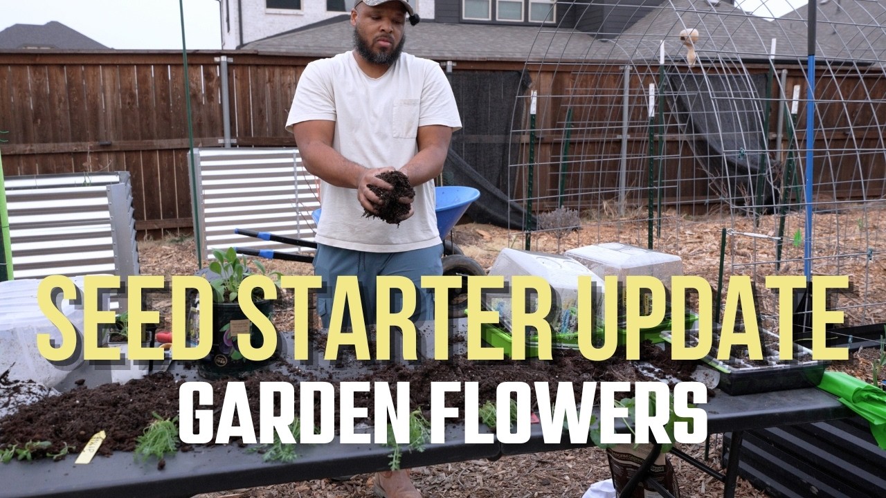 Snail Method Seed Starting | Snail Method update - YouTube