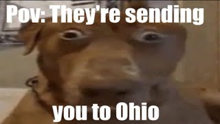 Only In Ohio 💀💀 #memes #shorts #relateable