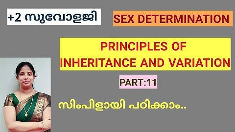 Principles of inheritance and variation (part-11)class12 in malayalam|Sex determination in organisms