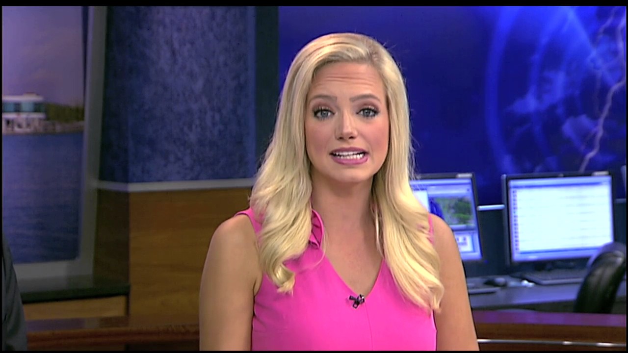 Venice city council meeting