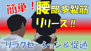 vol.162 簡単すぎる！ 腰部多裂筋リリース法‼