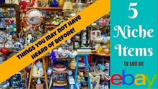 5 Niche Items to Sell on eBay: Things You Probably Don't Know!