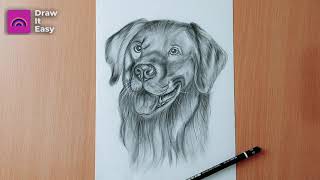 Online classes: How To Draw A Realistic Dog Face Step By Step | Dog Sketch