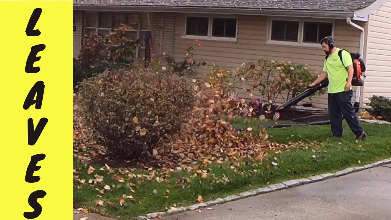 Lawn Care Service (First Leaf Cleanup Of The 2019 Season) YouTube