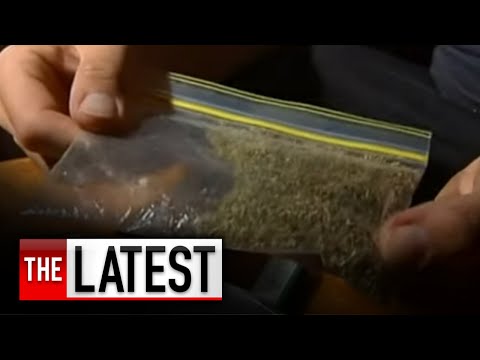 Video: Canberra a legalizat iarba?