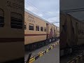 20605- Chendur SF Express #trains #trainsound #indianrailways #southernrailways