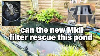 Cloudy Koi Pond? Watch This Filter Swap Fix It FAST #koipond #koi 