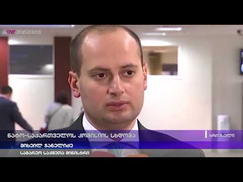 ნატო-საქართველოს კომისიის სხდომა